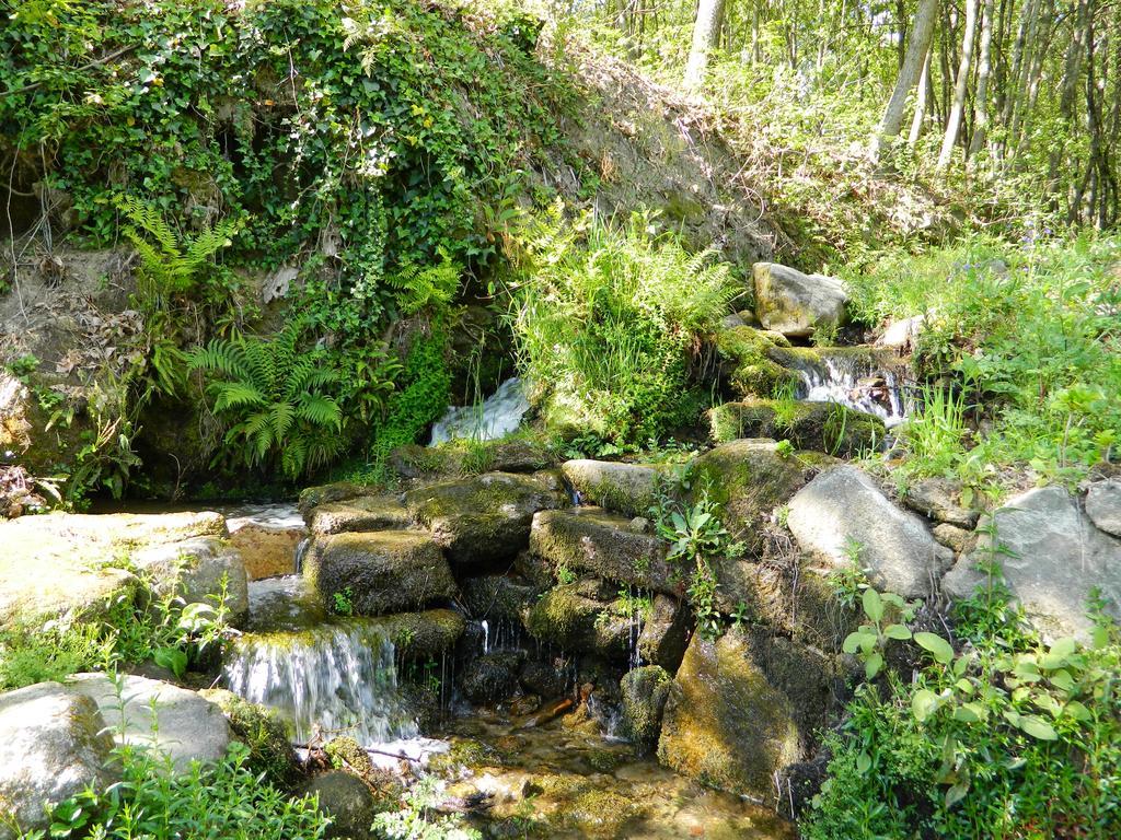 Quinta Lamosa Agroturismo Arcos de Valdevez Zewnętrze zdjęcie